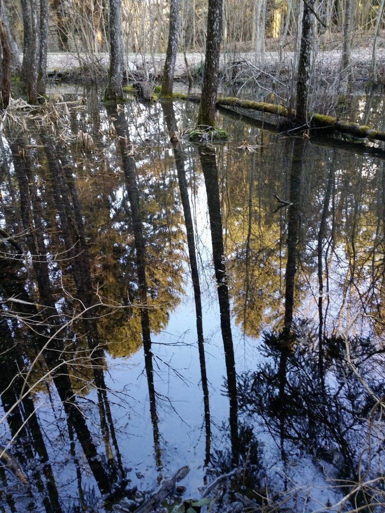 Au fond, le nouveau chemin