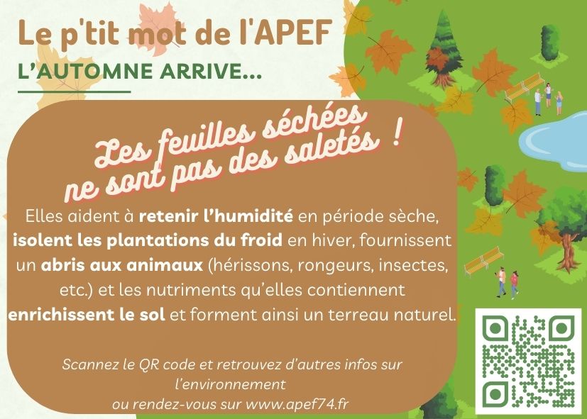 Les feuilles séchées ne sont pas des saletés ! Elles aident à retenir l’humidité en période sèche, isolent les plantations du froid en hiver, fournissent un abris aux animaux (hérissons, rongeurs, insectes, etc.) et les nutriments qu’elles contiennent enrichissent le sol et forment ainsi un terreau naturel.